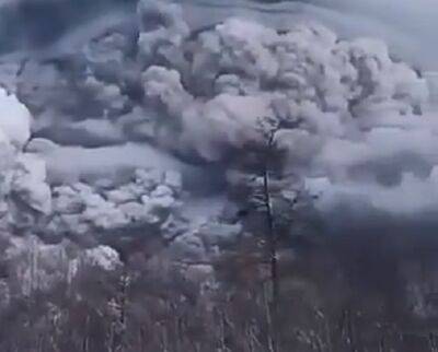"Темно, как ночью": в россии после землетрясения началось мощное извержение вулкана