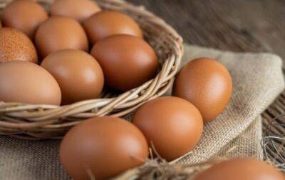 Яйца в Украине подешевеют на 20-40 % после Пасхи — Минагрополитики