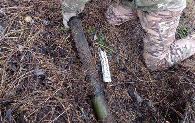 Житель Киевщины нашел в лесу противотанковую мину
