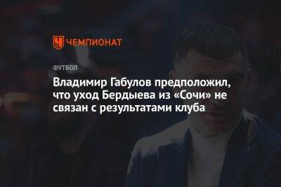 Владимир Габулов предположил, что уход Бердыева из «Сочи» не связан с результатами клуба
