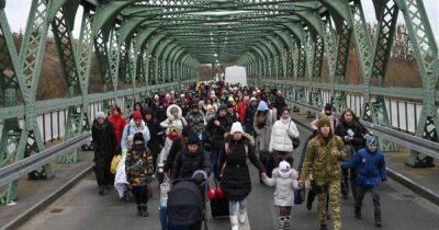 Штраф и возврат всех выплат: что грозит беженцам, получающим доходы в Украине