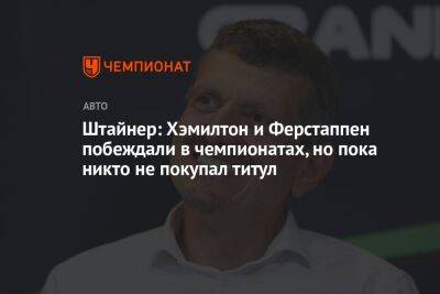 Штайнер: Хэмилтон и Ферстаппен побеждали в чемпионатах, но пока никто не покупал титул