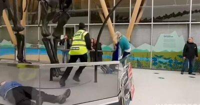 В Британии экоактивистов задержали за попытку нападения на динозавра (видео) - focus.ua - Украина - Англия - Лондон - Великобритания