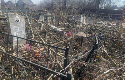 На кладбище в Ржеве из-за поваленных деревьев оказалась исковеркана могила ветерана