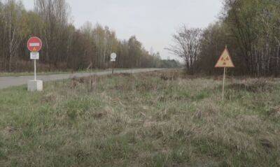 Рогатая двойня: в Чернобыльской зоне засняли очень редких животных. Фото