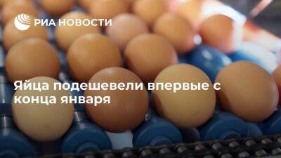 Росстат сообщил о удешевлении куриных яиц на 0,18 процента впервые с конца января