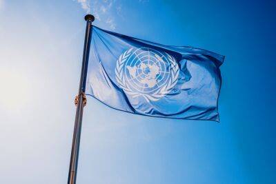 Генсека ООН и Верховного комиссара по правам человека призывают уволить антиизраильскую докладчицу