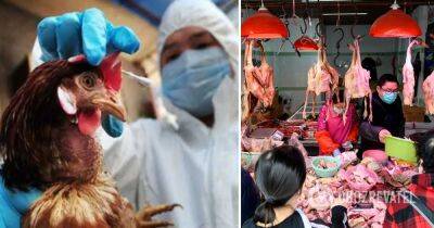 Птичий грипп – в Китае зафиксировали первую в мире смерть человека от птичьего гриппа H3N
