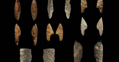 Суперклей из палеолита. Впервые древние люди использовали клейкие смеси примерно 20 тыс. лет назад