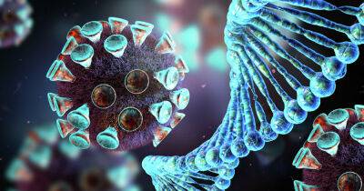 Новый вариант COVID-19: по миру стремительно распространяется версия Арктур