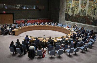 Политики: экзекуция украинца - свидетельство невозможности председательства РФ в СБ ООН
