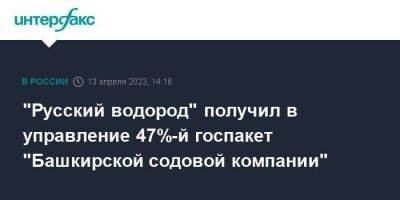 "Русский водород" получил в управление 47%-й госпакет "Башкирской содовой компании"