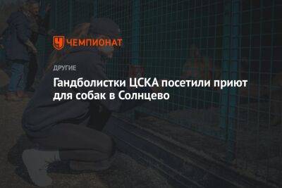 Гандболистки ЦСКА посетили приют для собак в Солнцево