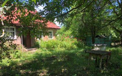 Дом в тихом месте за 50 тысяч гривен продают в Украине: как он выглядит и что в нем есть