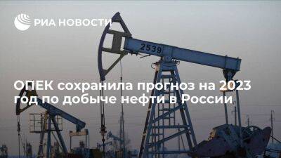 ОПЕК сохранила прогноз по добыче нефти в России на уровне 10,3 миллиона баррелей