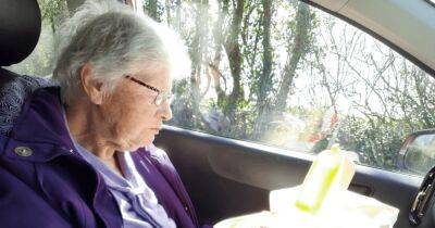 90-летней женщине доставили еду прямо в машину после того, как она застряла в яме (фото)