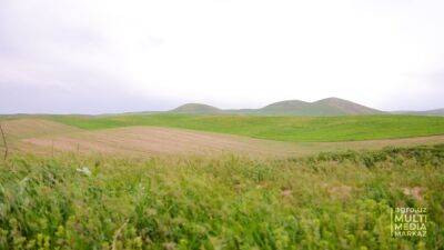 Власти Узбекистана решили резко нарастить производство сельхозпродукции за счет земли по краям полей