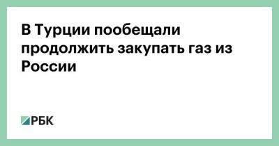 В Турции пообещали продолжить закупать газ из России