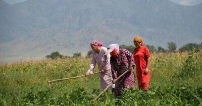 ООН: агропродовольственные системы должны работать на благо женщин