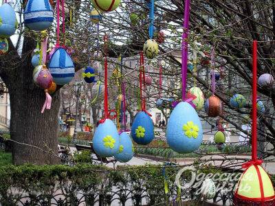 Пасха в Одессе: в Горсаду расцвело необычное дерево – фоторепортаж | Новости Одессы