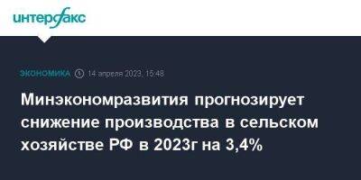 Минэкономразвития прогнозирует снижение производства в сельском хозяйстве РФ в 2023г на 3,4%
