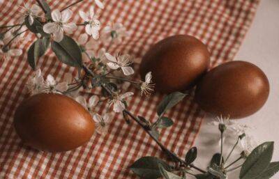 Жителям Тверской области напомнили, как правильно красить яйца к Пасхе