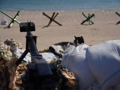 В Одесской области в районе пляжа обезвредили морскую мину – ОК "Юг"