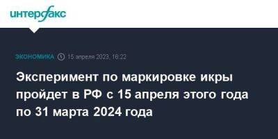 Эксперимент по маркировке икры пройдет в РФ с 15 апреля этого года по 31 марта 2024 года