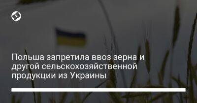 Польша запретила ввоз зерна и другой сельскохозяйственной продукции из Украины