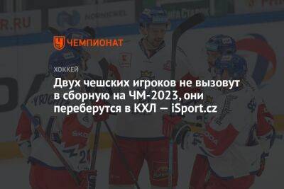 Двух чешских игроков не вызовут в сборную на ЧМ-2023, они переберутся в КХЛ — iSport.cz