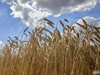 Болгария рассматривает возможность запрета на импорт украинского зерна