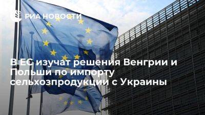 В ЕС изучат решения Венгрии и Польши о приостановке импорта сельхозпродукции с Украины
