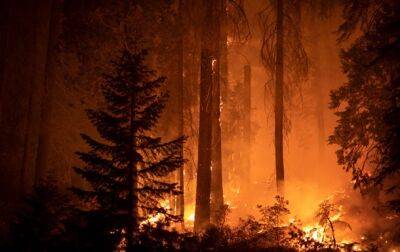 На юге Китая вспыхнул масштабный лесной пожар