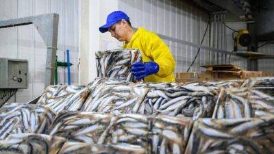 Пришел невод: в РФ могут ограничить торговые наценки на мороженую рыбу