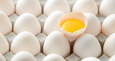 Мировые цены на яйцо достигли максимальных значений