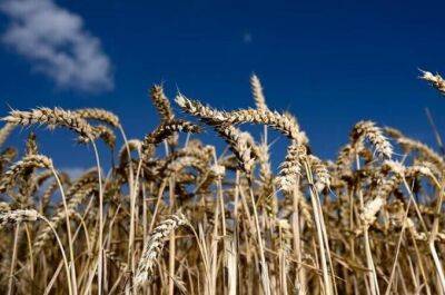 Украина и Польша подпишут соглашение о транзите зерна