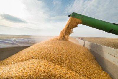 Болгария также может запретить импорт украинского зерна