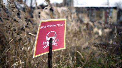 Для очистки Украины от мин вероятно понадобится десятилетие – разведка Британии