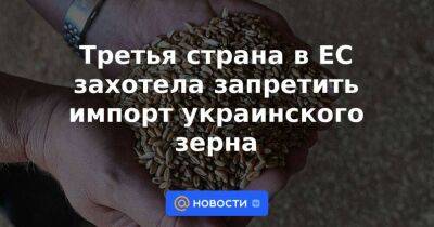 Третья страна в ЕС захотела запретить импорт украинского зерна