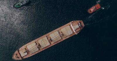 "Зерновое" соглашение: Россия блокирует более полусотни кораблей в Босфоре