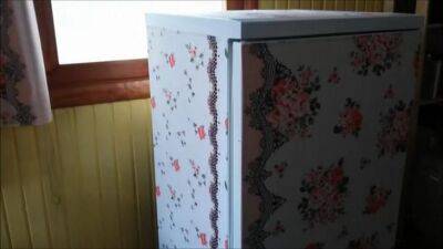 Как обновить старый холодильник