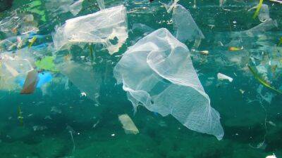 "Большое тихоокеанское мусорное пятно" обзавелось своей экосистемой