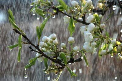 Погода в Одессе во вторник, 18 марта: стоит ли брать зонт?