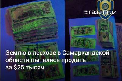 Землю в лесхозе в Самаркандской области пытались продать за $25 тысяч