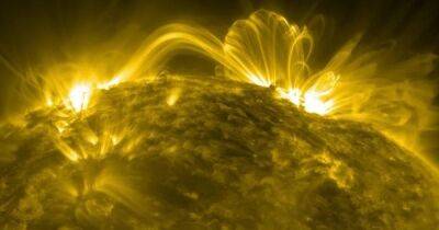 Пик активности Солнца настанет намного раньше, чем предполагалось: чем это грозит Земле - focus.ua - США - Украина
