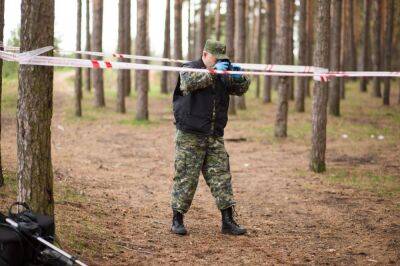 В лесу Тверской области нашли скелет человека