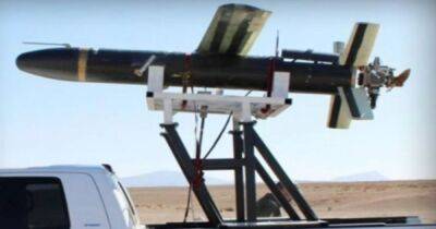 Новые иранские дроны на службе России: военный эксперт раскрыл недостатки Meraj-532
