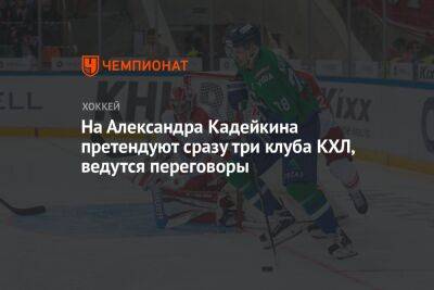 На Александра Кадейкина претендуют сразу три клуба КХЛ, ведутся переговоры