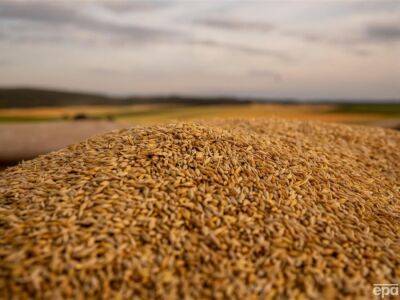 Румыния по примерну других стран хочет запретить импорт украинского зерна