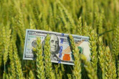 ЕС выделит фермерам 100 миллионов поддержки через агропродукцию из Украины